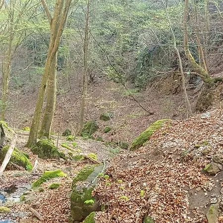 Báránykő Pásztó