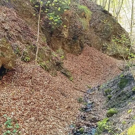 Báránykő *